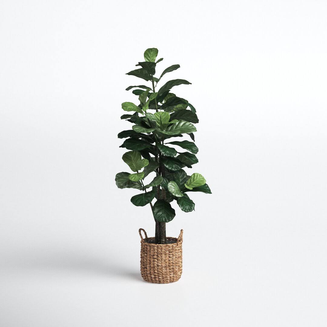 66'' Faux Fiddle Leaf Fig Tree in Rattan Basket