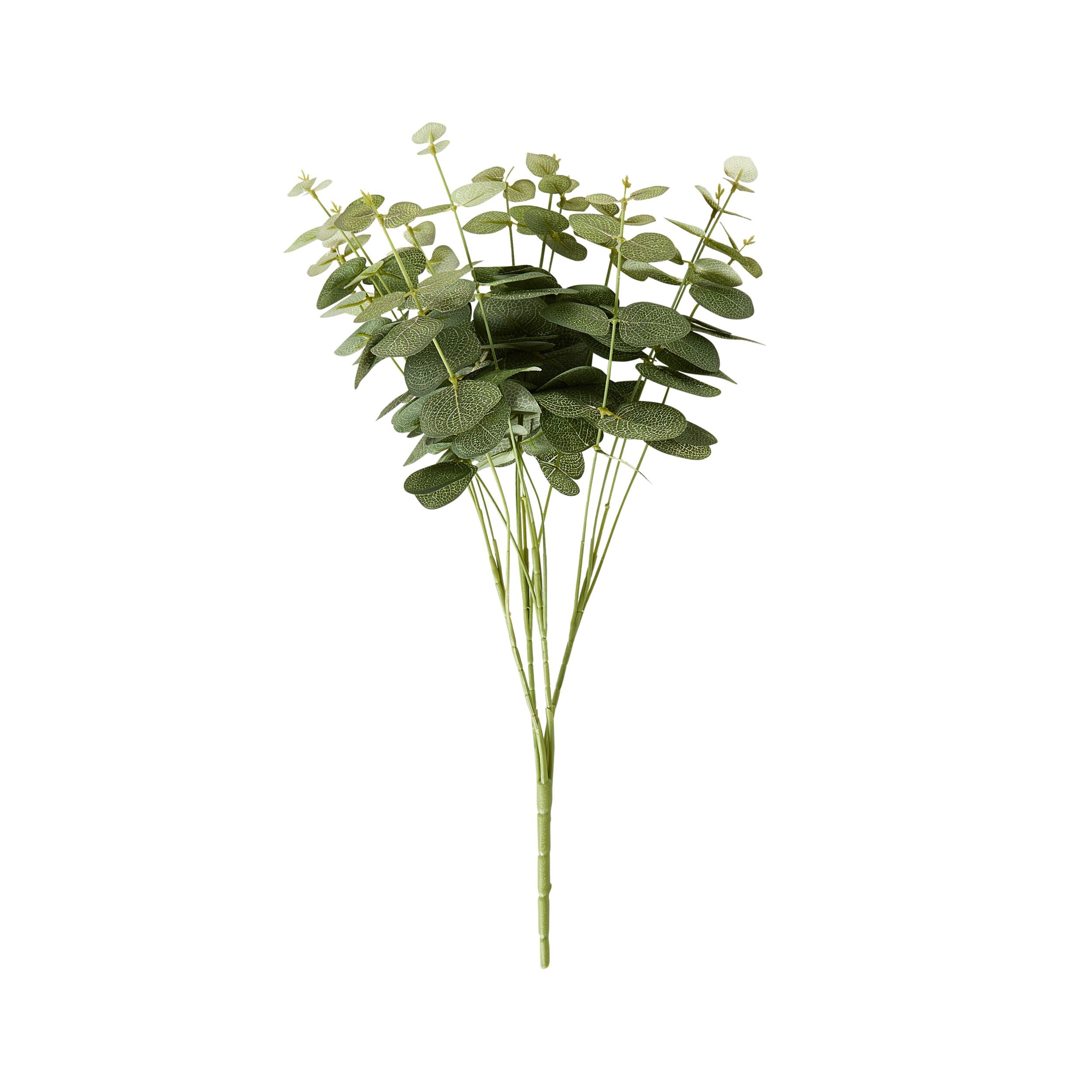 Bloomery Eucalyptus Stem 46cm