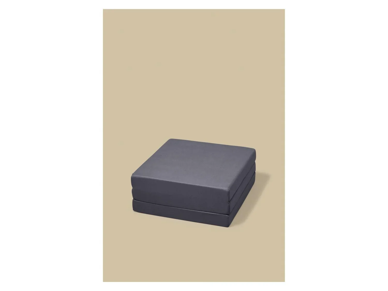 LIVARNO Matelas pliant 2-en-1, 190 x 65 cm