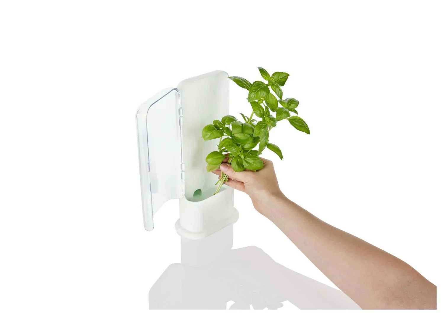 LIVARNO home Bote(s) fracheur pour herbes aromatiques