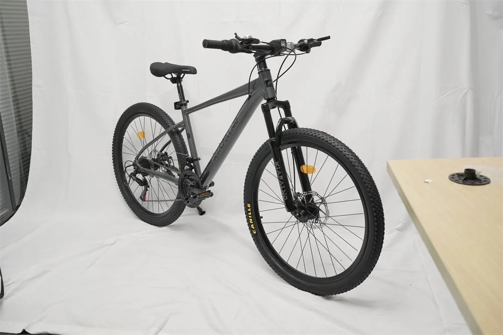 24 Inch Mountain Bike, 21 Speed Mountain Bicycle with Aluminium Alloy Frame, Dual Disc Brakes and Front Suspension, Men Commuting City Bike for Teenagers Adult, Quick Release Front Wheel, Black