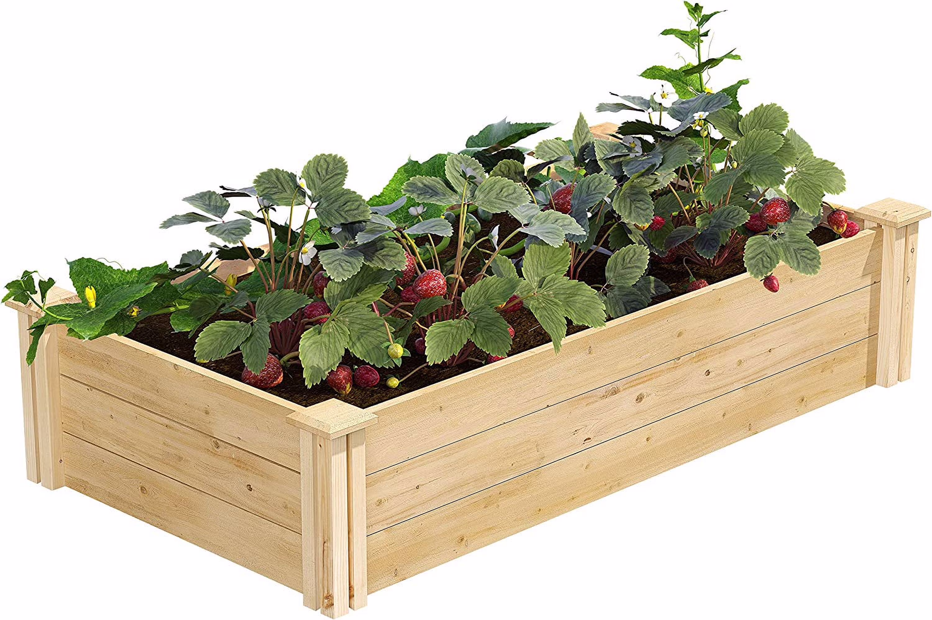 Original Cedar Raised Garden Bed, 2' x 4' x 10.5 - Made in with North Cedar