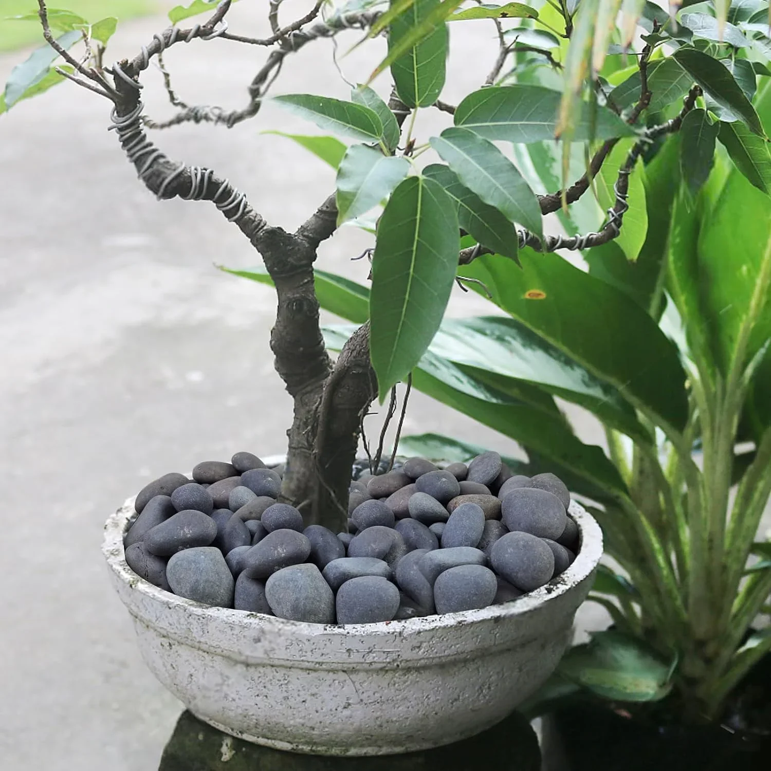 Black River Rocks for Landscaping, 2-3 Inch Natural River Rocks for Garden Beds, Potted Plants, Fish Tanks, DIY Pathway and Backyard Accent, Stones for Crafts, Walkways(40lbs Bulk)