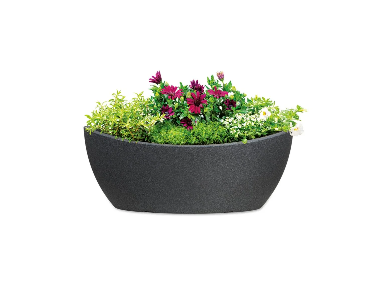 Scheurich Jardinire Wave Globe