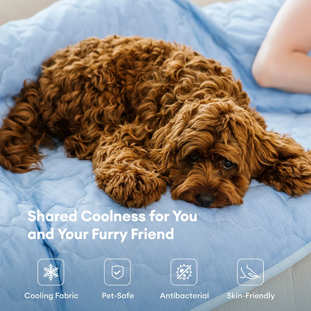 Double-Sided Cooling Dog Blanket - Chill Nest