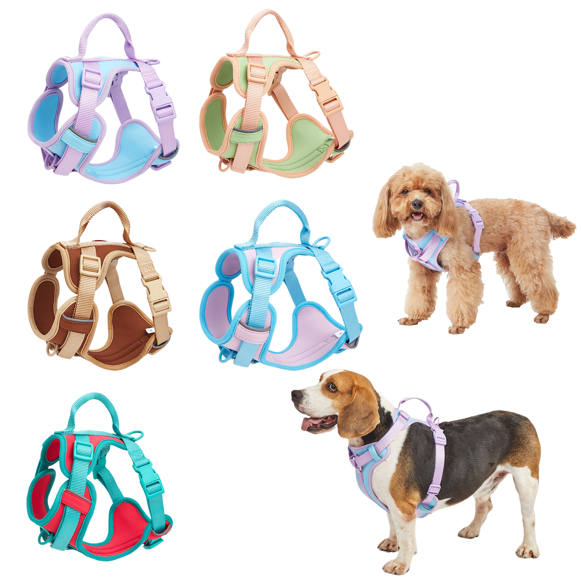 Pet Leashes
