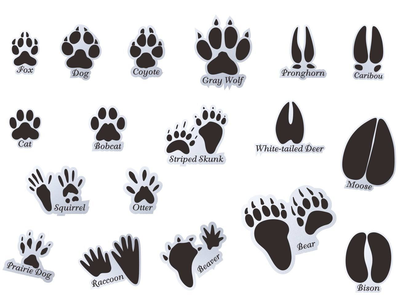 Mozamy Creative Animal Tracks Wall Decals (18 Count) Animal Wall Decals Animal Tracks Wall Decor Boys Room Wall Decals Removable, Black