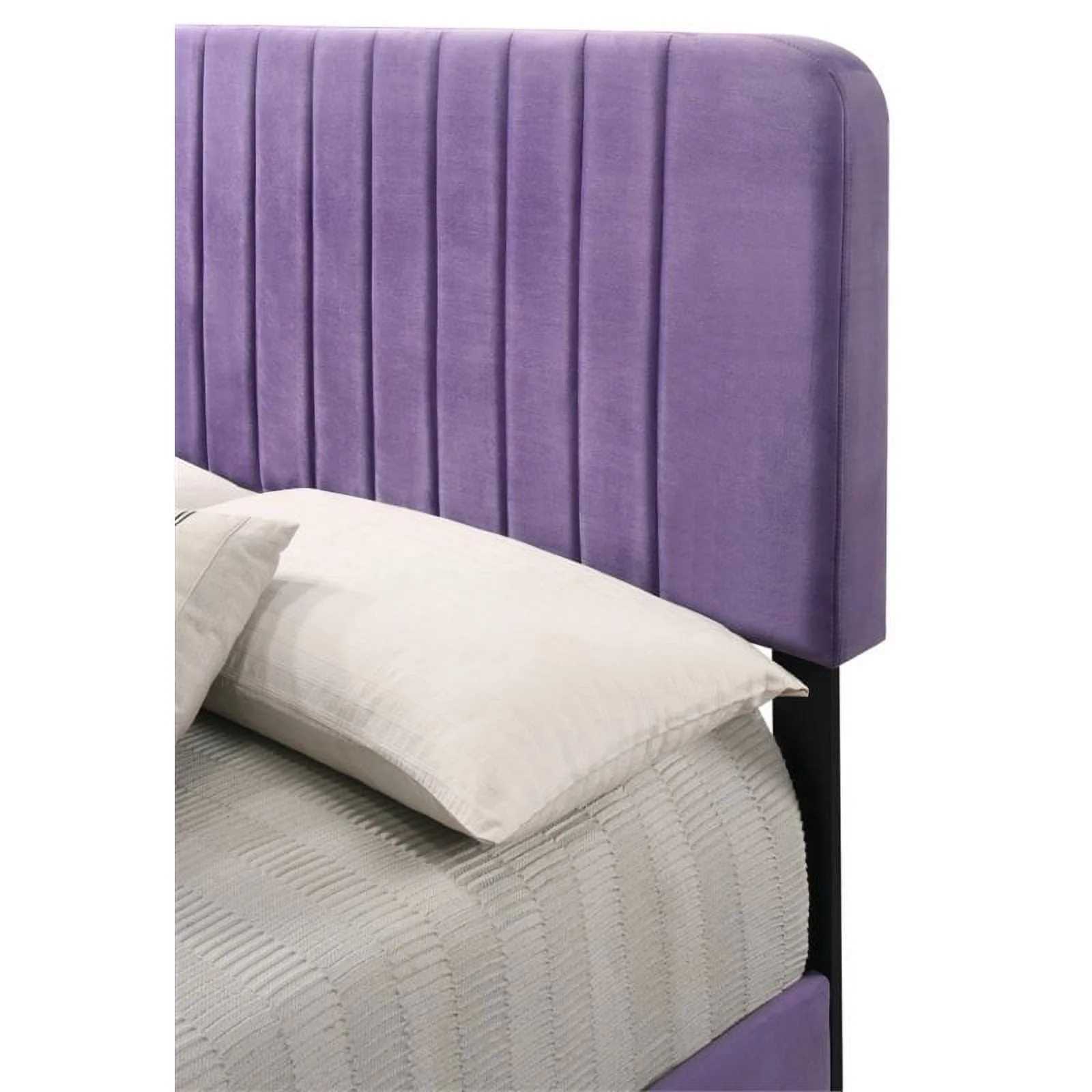 Glory Furniture Lodi G0502-KB-UP KING BED , PURPLE(Twin)