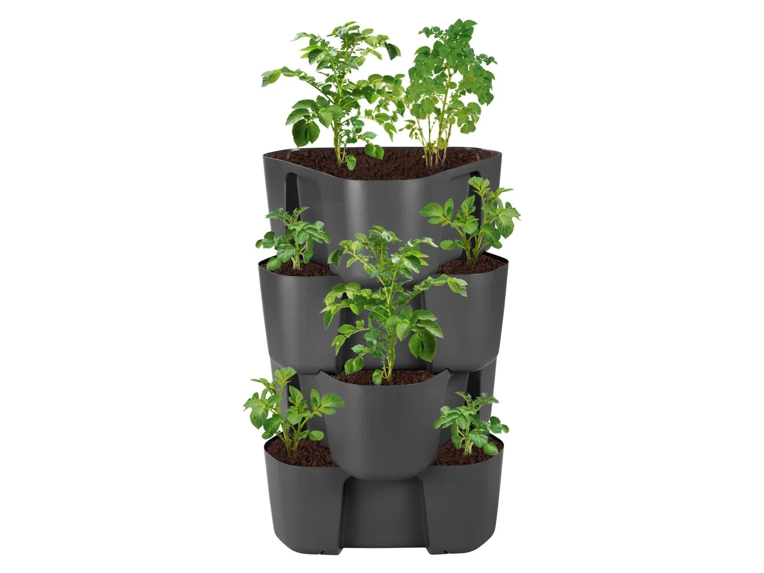 PARKSIDE Tour de culture pour pommes de terre ou plantes