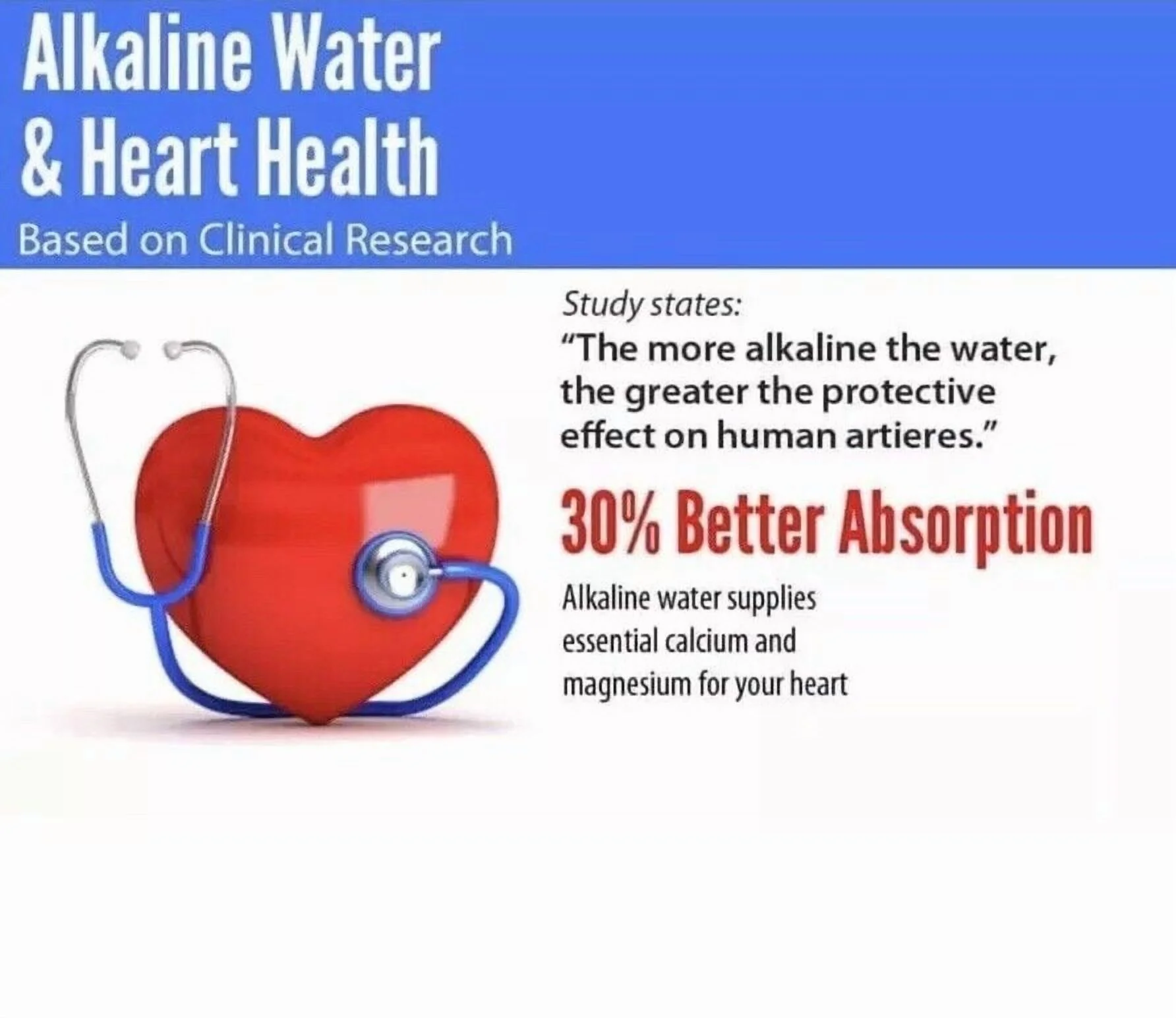 Alkaline Cup Pi Water Alkalizer Energy Anti Oxidant Cup/Alkaline Bottle - Image 6