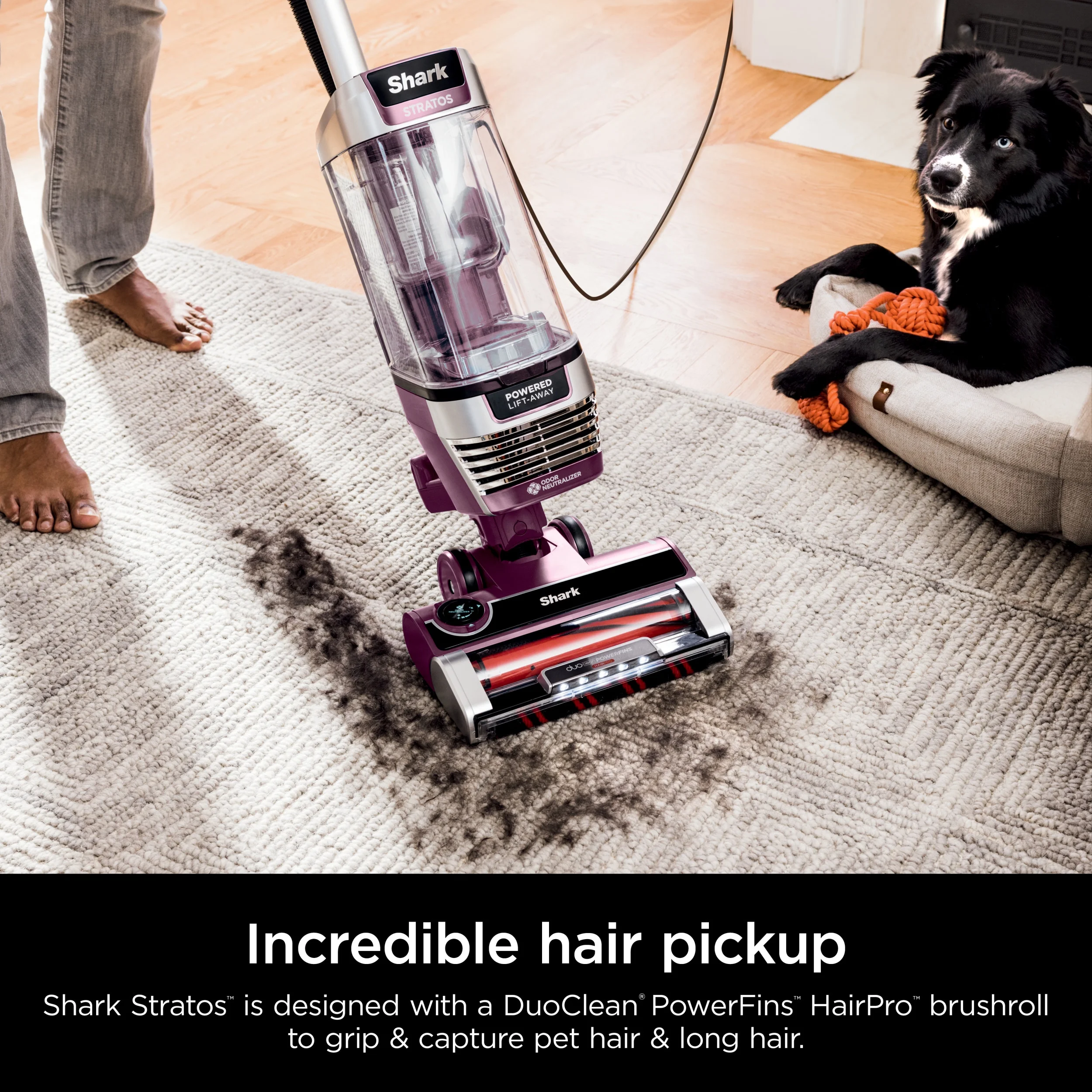 Upright Vacuum, Stratos, Pet Friendly, Bagless, Ultra Powerful Suction, Hard Floor and Carpet, DuoClean PowerFins HairPro, Self Cleaning Brushroll, Odor Neutralizer Technology, AZ3000, Burgundy Image 9