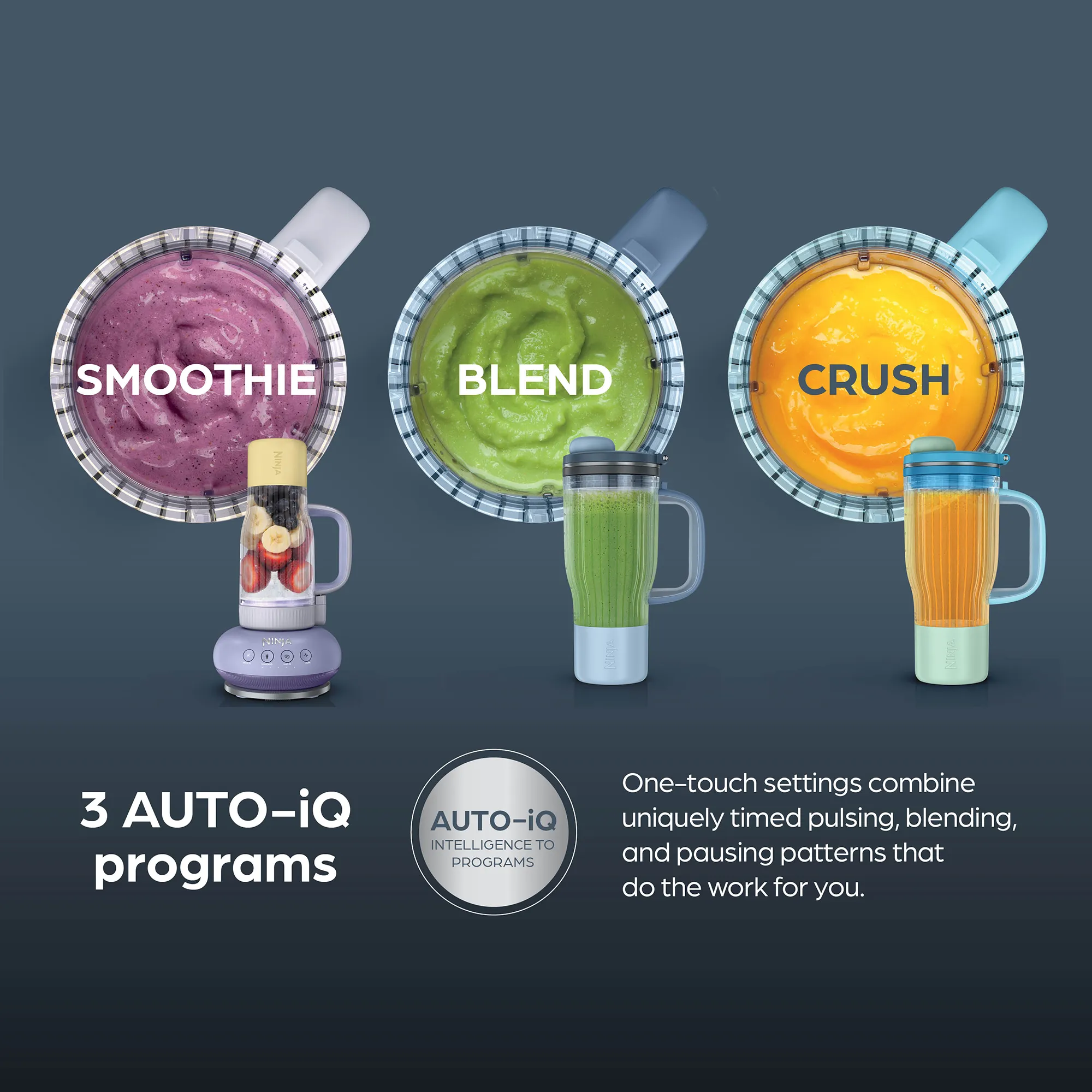 Ninja BlendBOSS Tumbler Blender