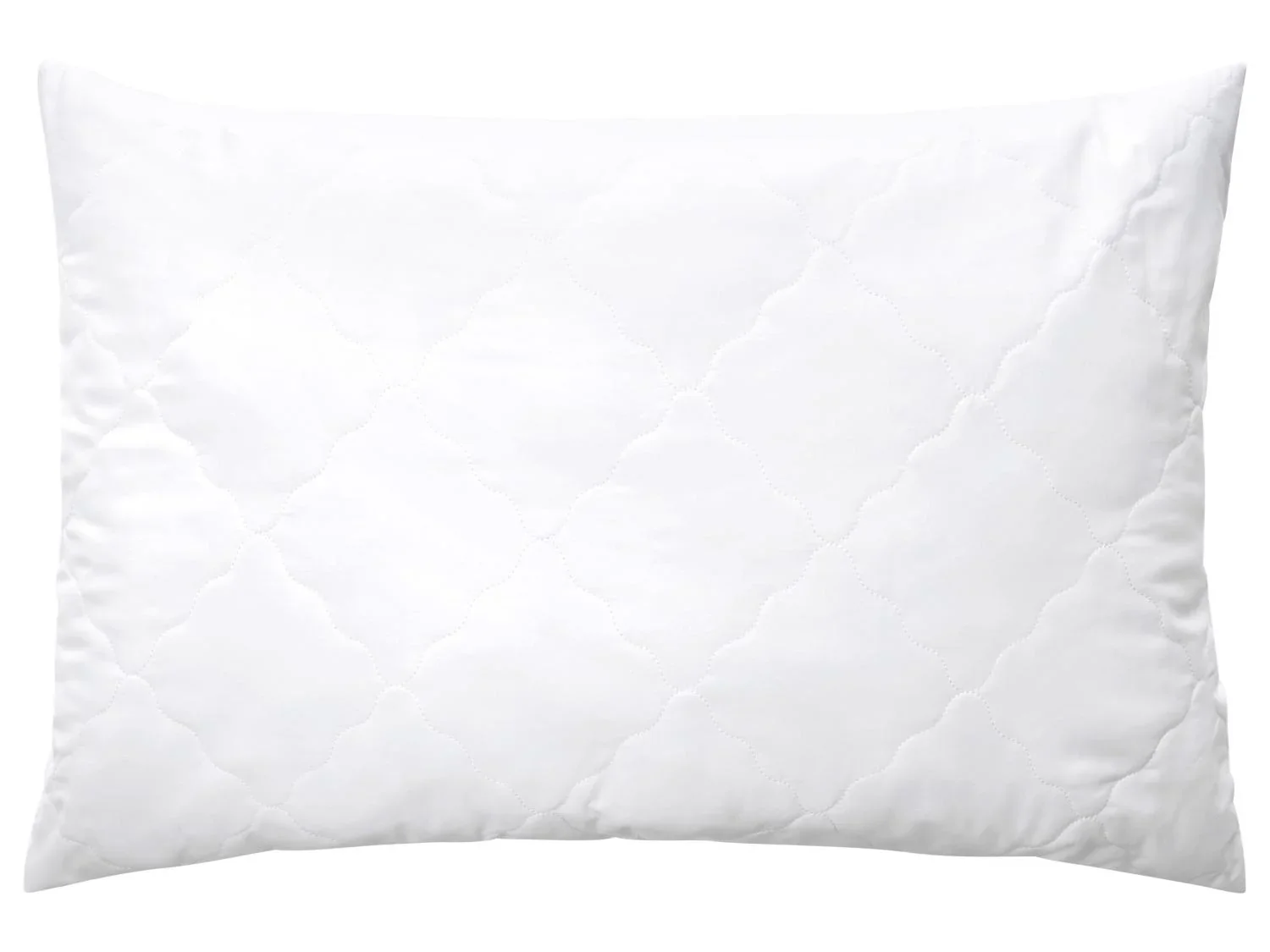 LIVARNO Oreiller lavable  haute temprature, 50 x 70 cm
