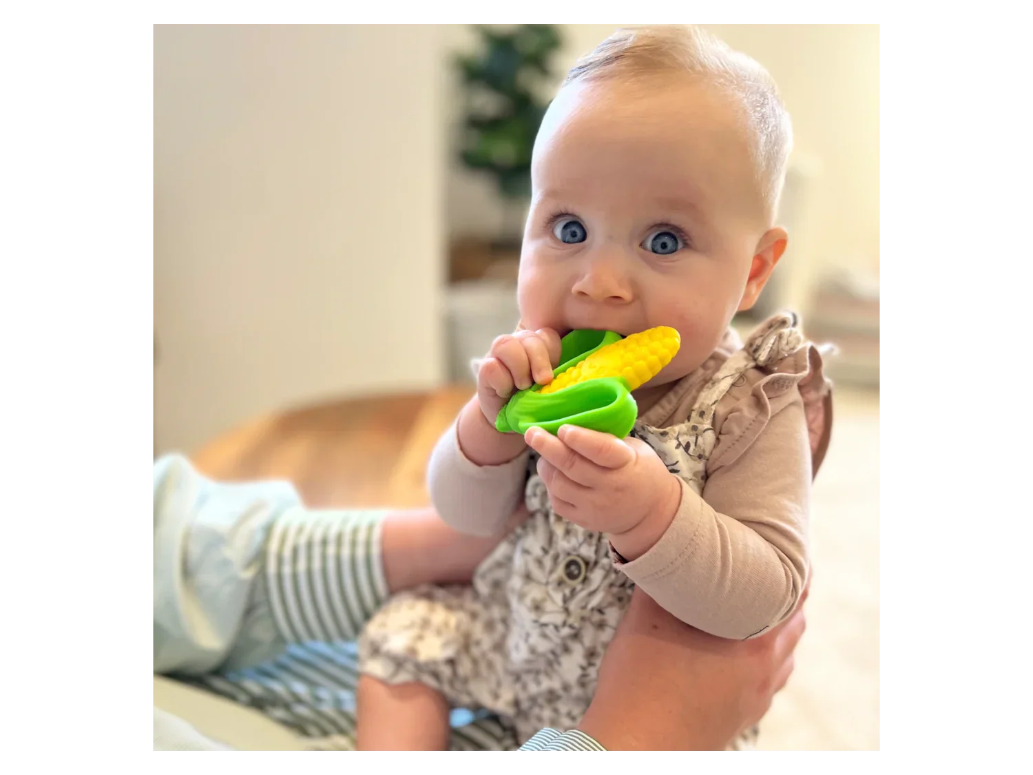 Infantino Anneaux de dentition en silicone