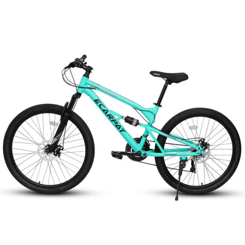 Raistyw 26 inch Mountain Bike for Adult, Shimano 21-Speed Steel Frame Bicycle with Disc Brakes and Shock Fork, Blue and Green