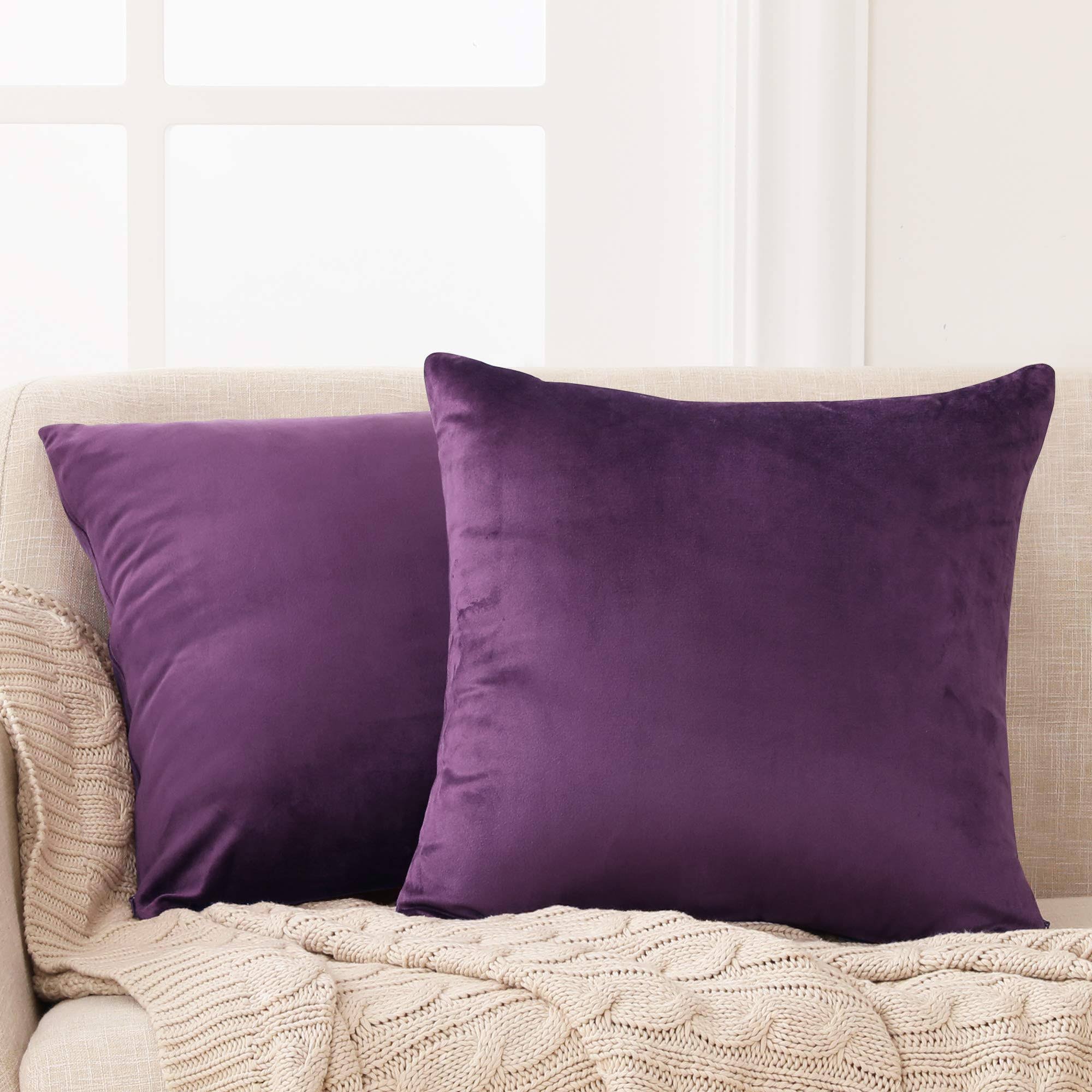 Deconovo Decorative Velvet Throw Pillow Covers for Sofa - 20x20 in, 2 Pcs, Eggplant Purple