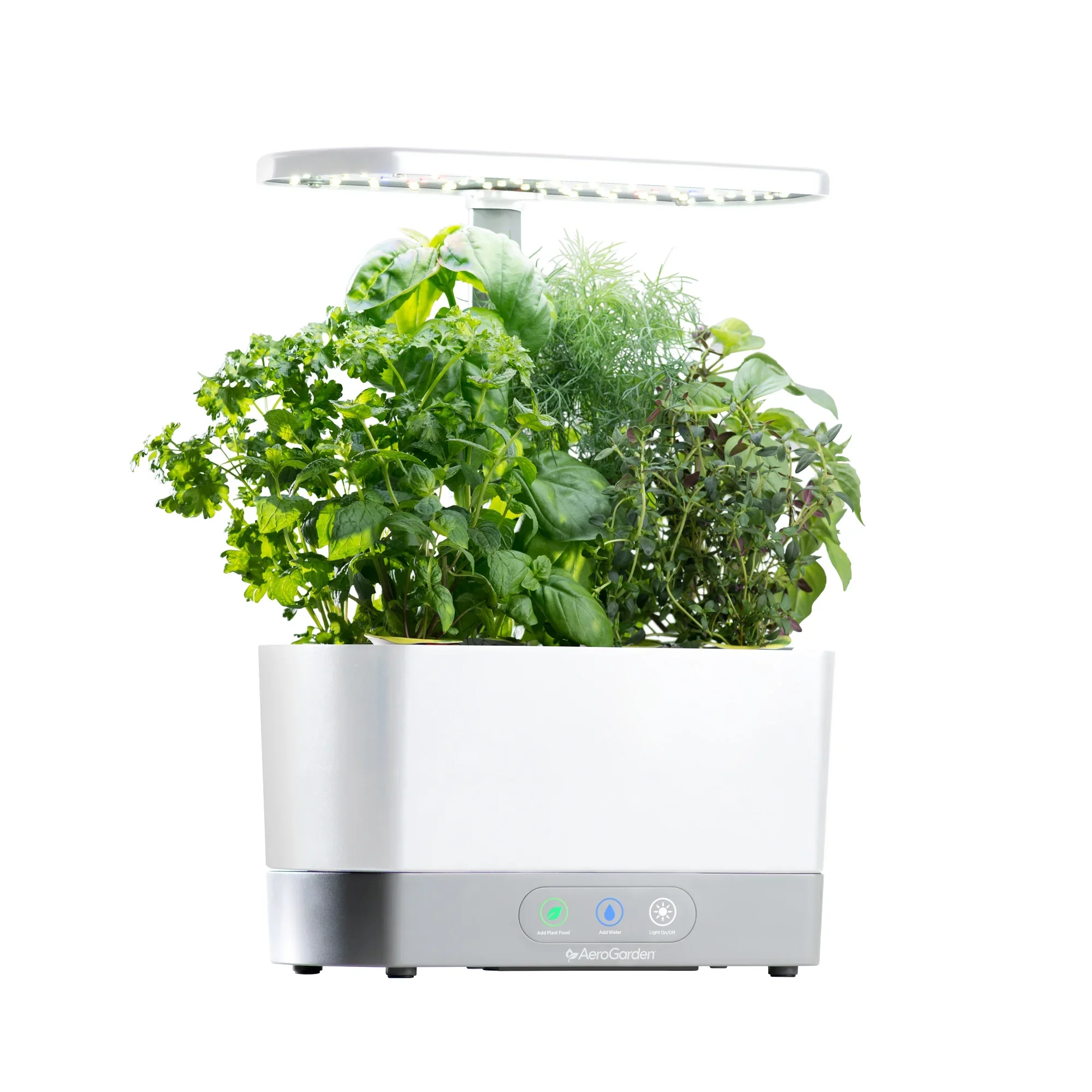 AeroGarden Harvest, White with Gourmet Herbs Seed Kit