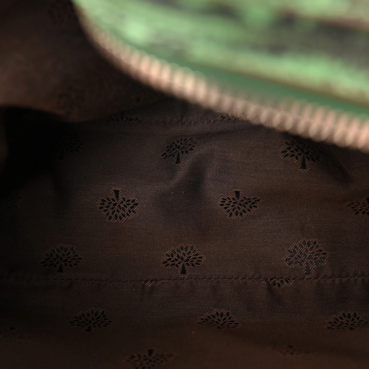 Lizard Print Camera Bag Grass Green