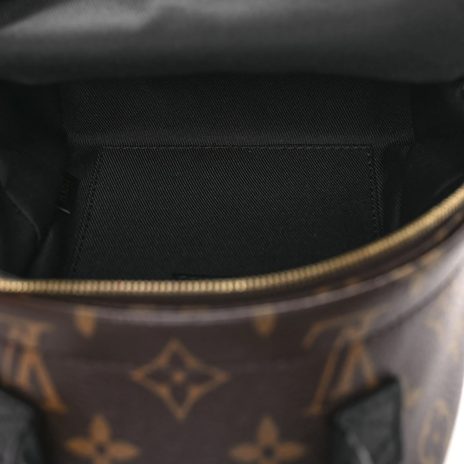 Monogram Palm Springs Backpack Mini