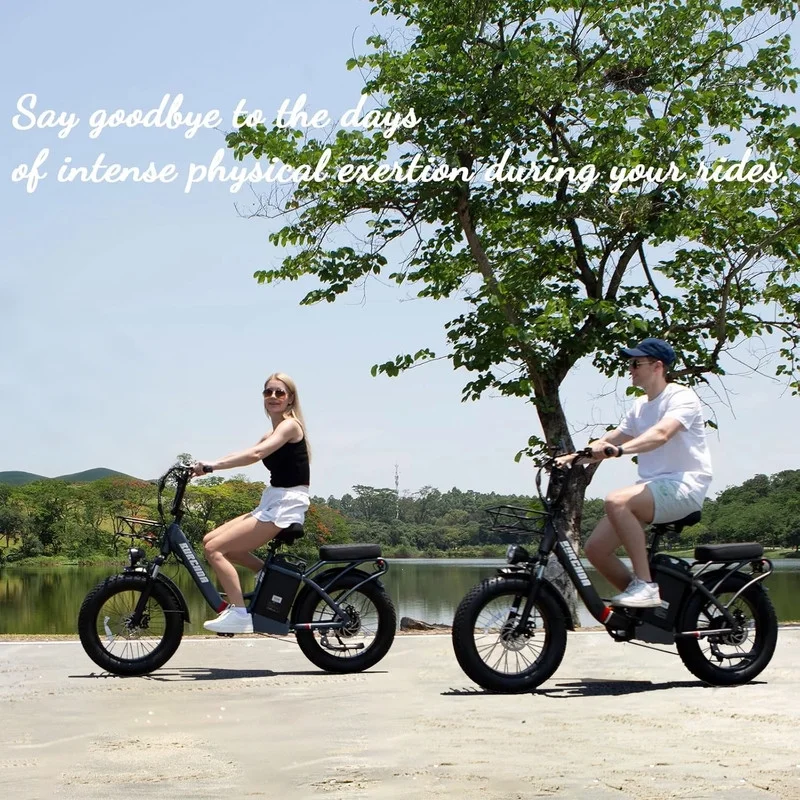 Electric Bike for Adults 20'', 800W UL2849 48V 32AH 110Miles Long Range Ebike up to 30mph Full Suspension E-mountain bike 4.0 Fat Tire Off-road, 2 Seats outdoor Dual Disc Brakes Electric bicycle(Blue) - Image 7