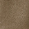 Medium Park Tote Bag in Leather