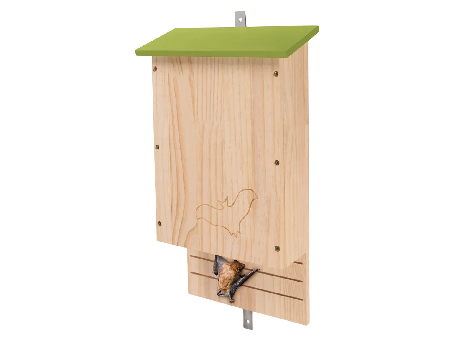 zoofari Gte  hrisson, gte  cureuil ou gte  chauve-souris