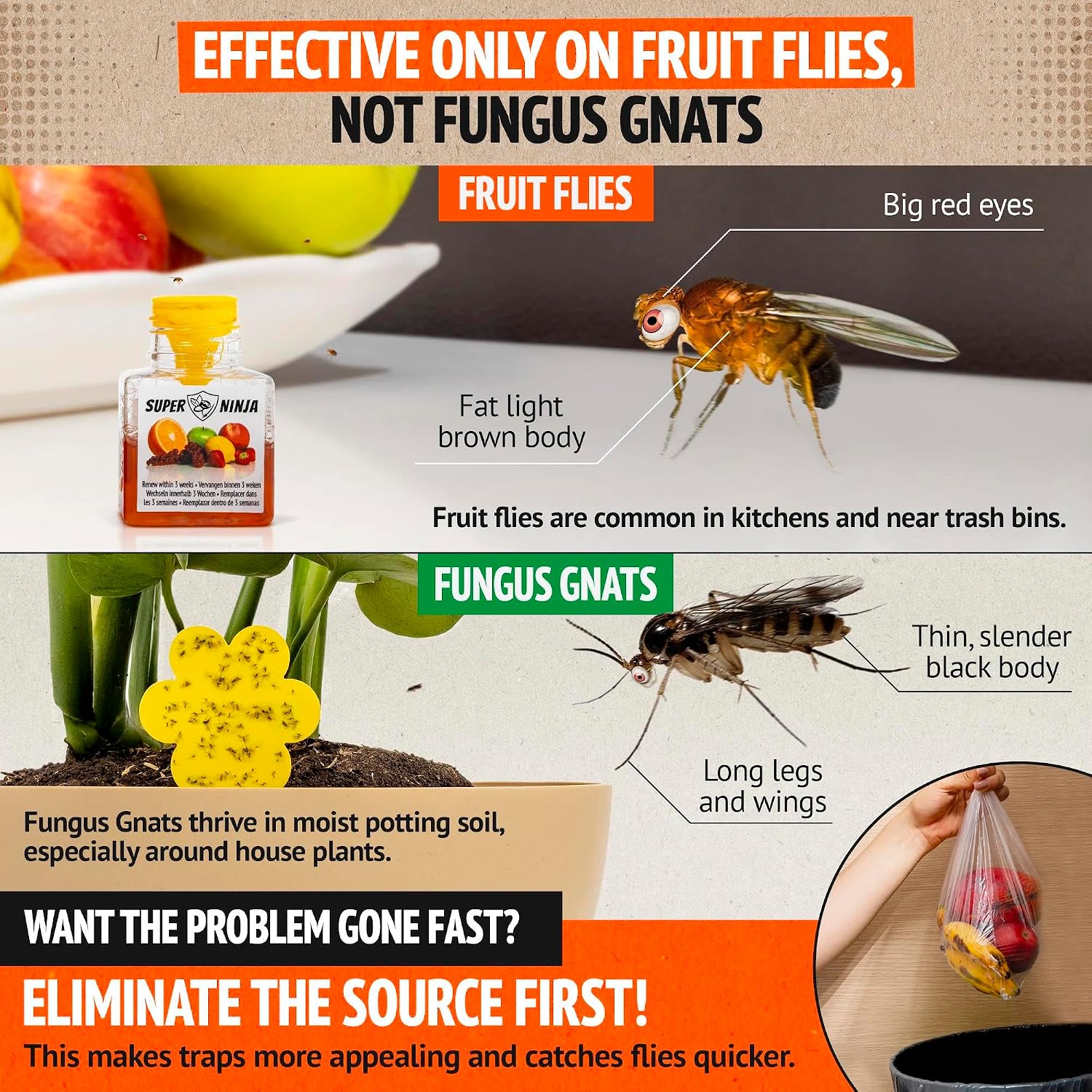 Super Ninja Fruit Fly Traps for Indoors, 4 Pack| Fruit Flies Catcher for Home & Kitchen with Adhesive Back, Kids & Pets Friendly, Up to 3 Weeks of Performance per Bottle