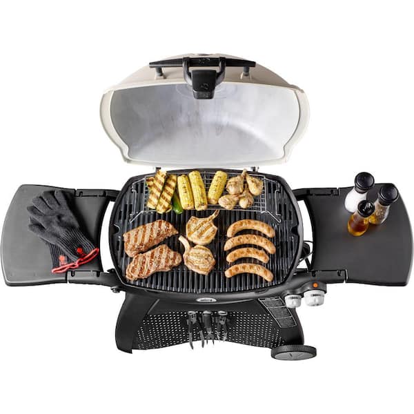 Q 3200 2 Burner Propane Gas Grill in Titanium with Built In Thermomter Image 2