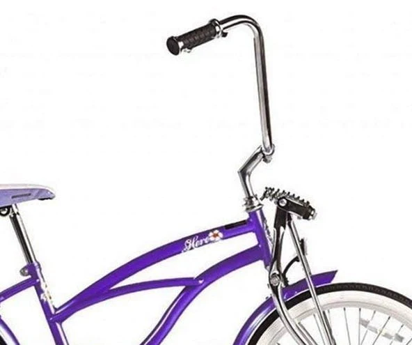 Wonder Wheels 20 In. Beach Cruiser Lowrider Coaster Brake Single Speed Bicycle, Bike with Banana Seat Stainless Steel Spokes One Piece Crank Alloy Rims 36 H - Purple