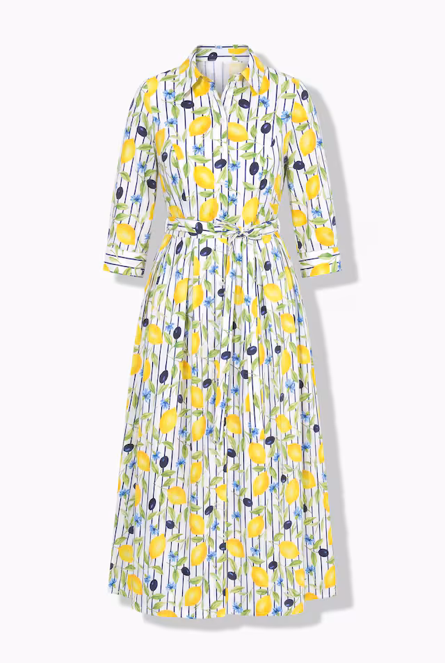 Pinstripe Lemon Button-Down Shirt Dress