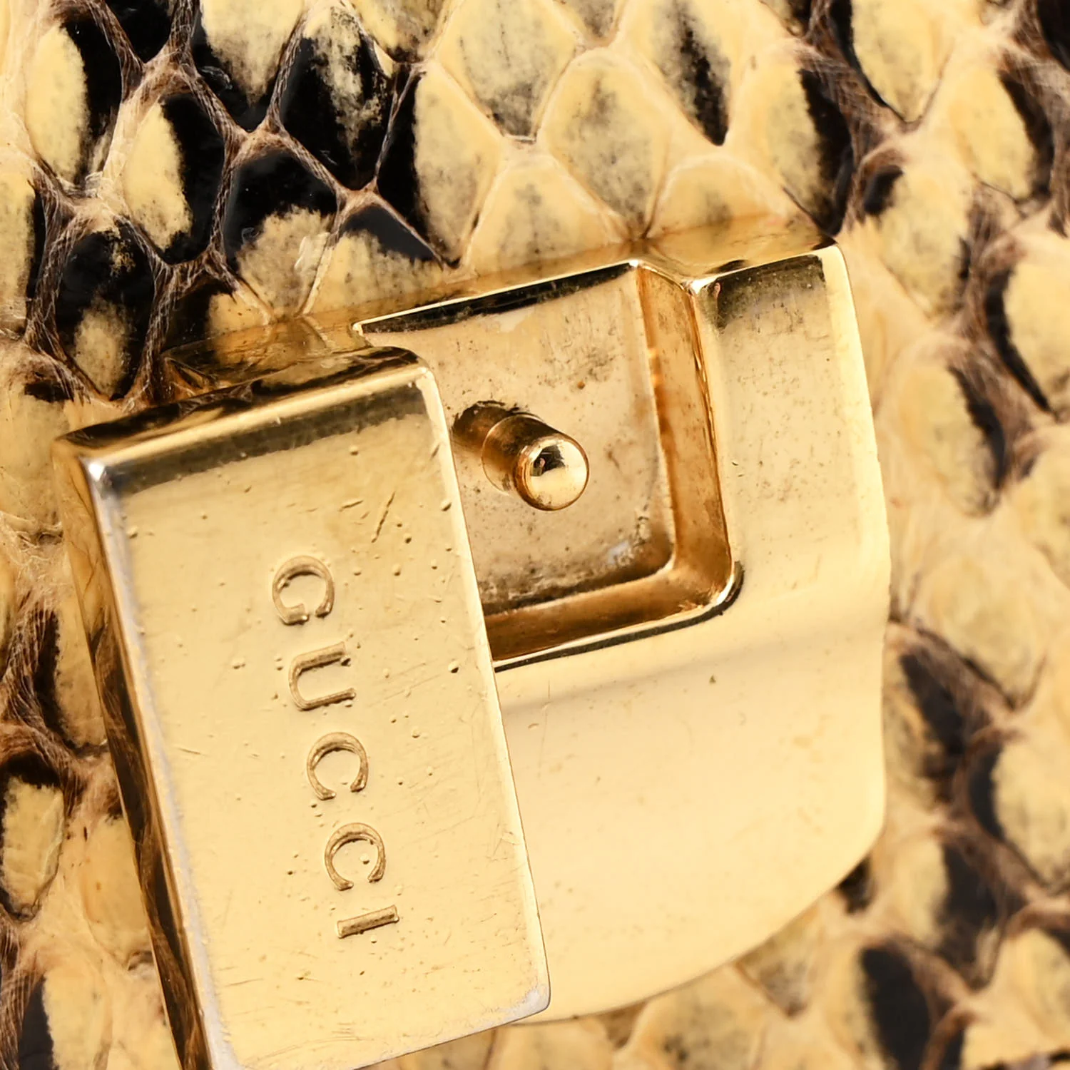 Snakeskin Mini Sylvie Chain Shoulder Bag Roccia