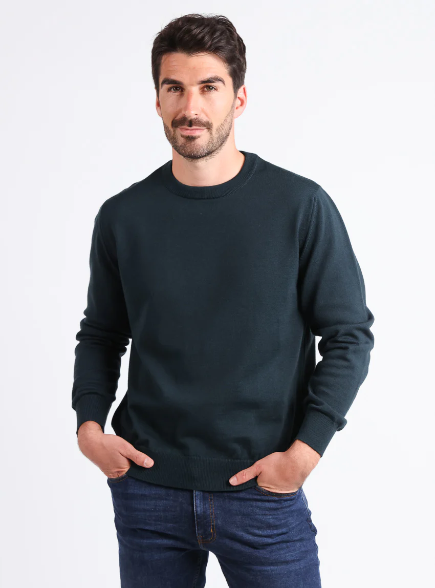 Pull homme col rond laine merinos Vert Sombre