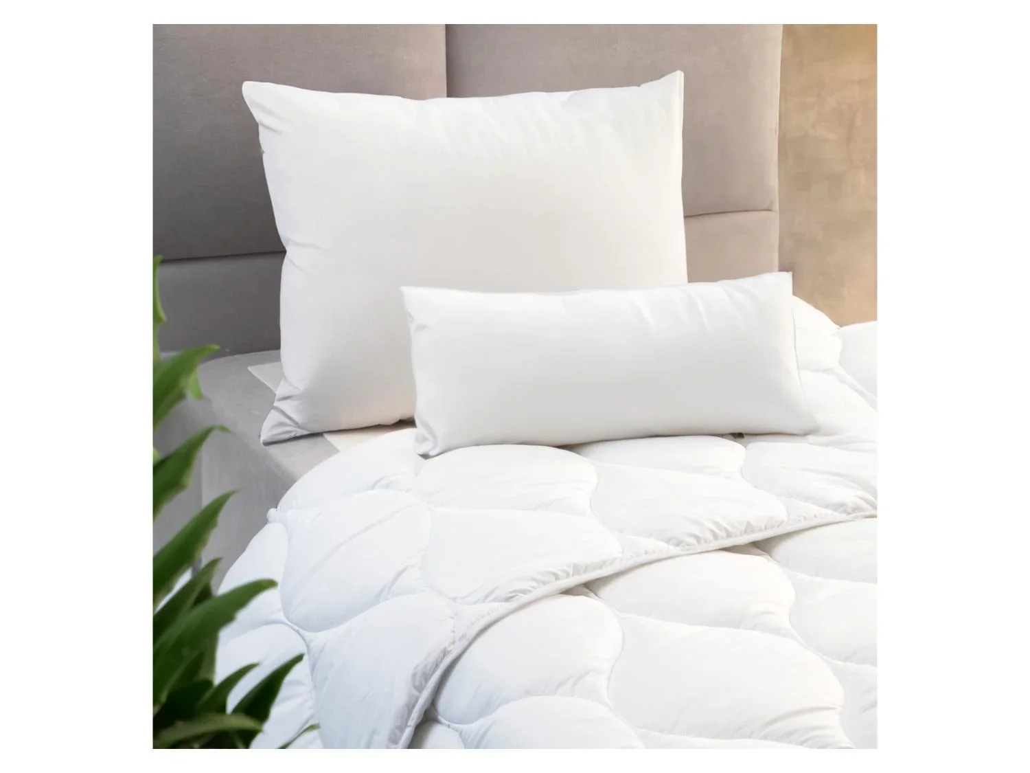 John Cotton Couette d't Super Soft, 240 x 220 cm