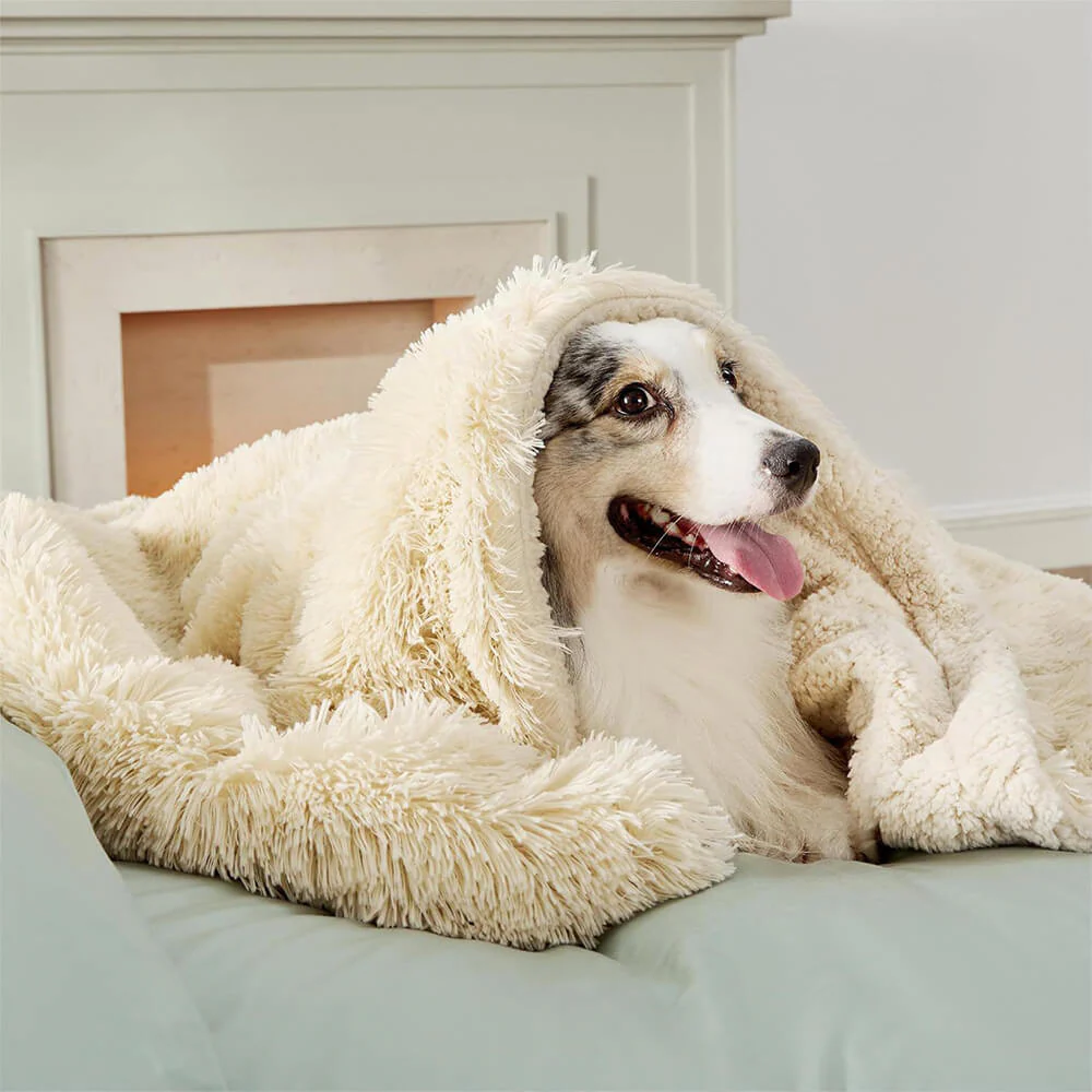 Luxurious Waterproof Plush Warm Multi-Purpose Home Dog Blanket
