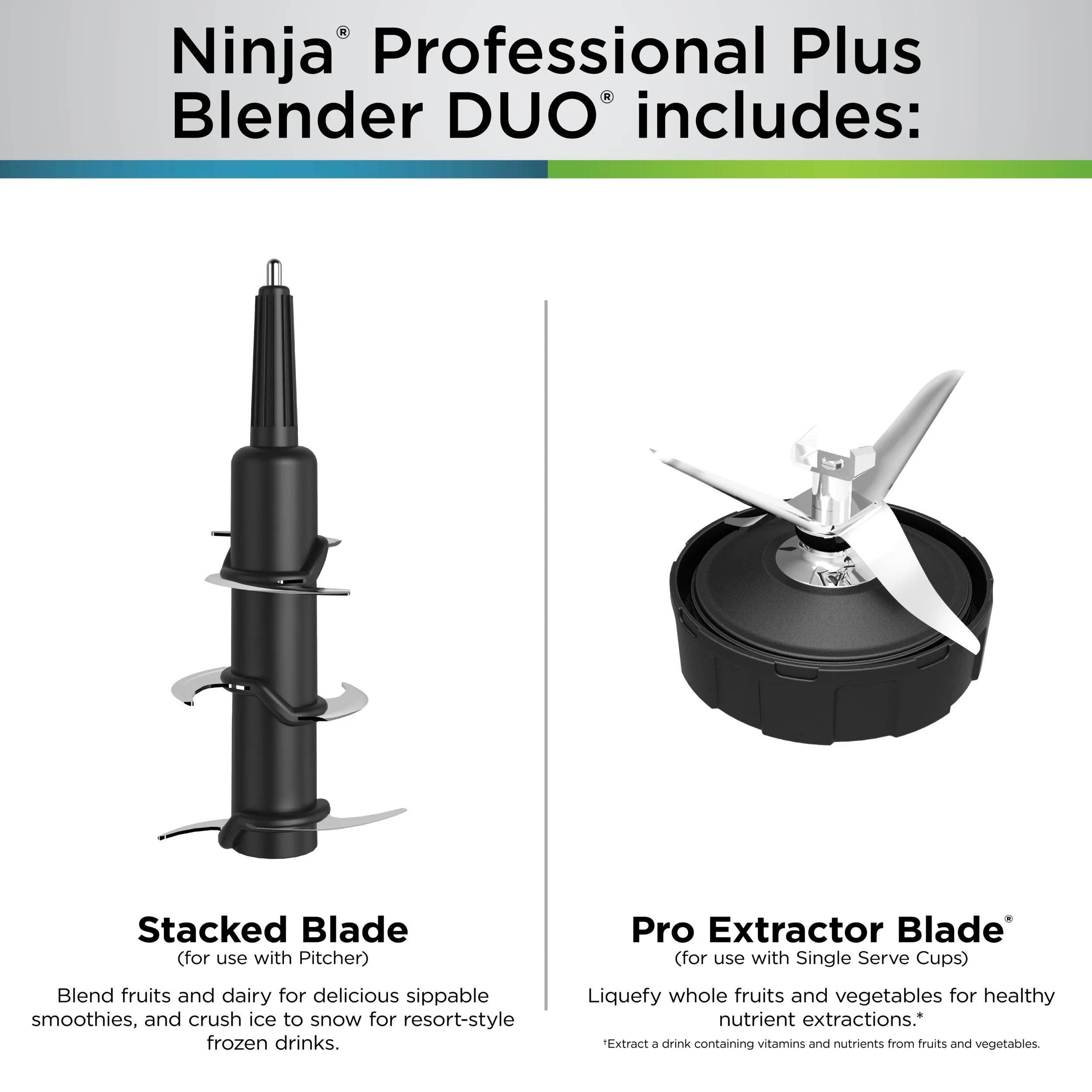 Ninja 1500 W 72 oz Blender, Black