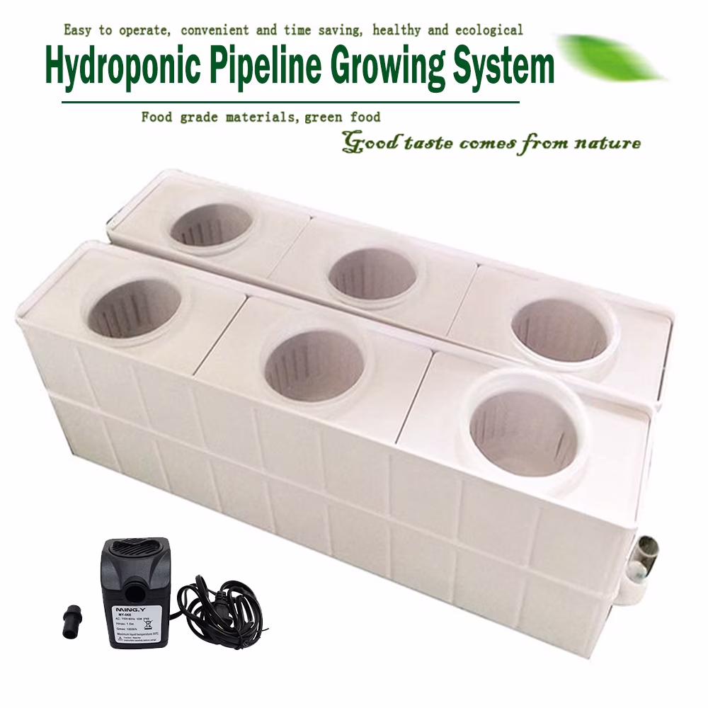 TECHTONGDA Hydroponic 6 Holes Site Grow Kit Square Pipeline Vegetable Planter Indoor Garden Plant Grow System No water pump