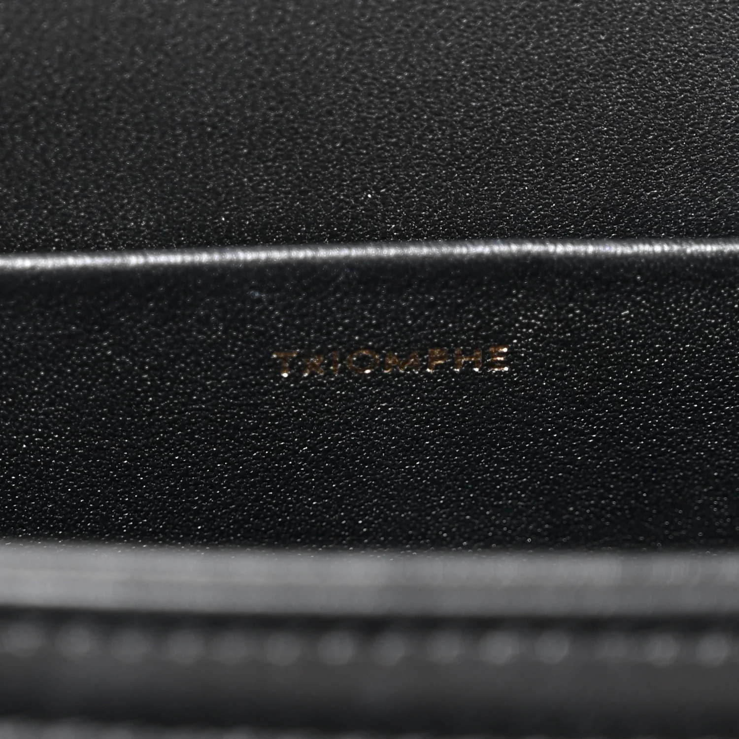Shiny Calfskin Medium Triomphe Black