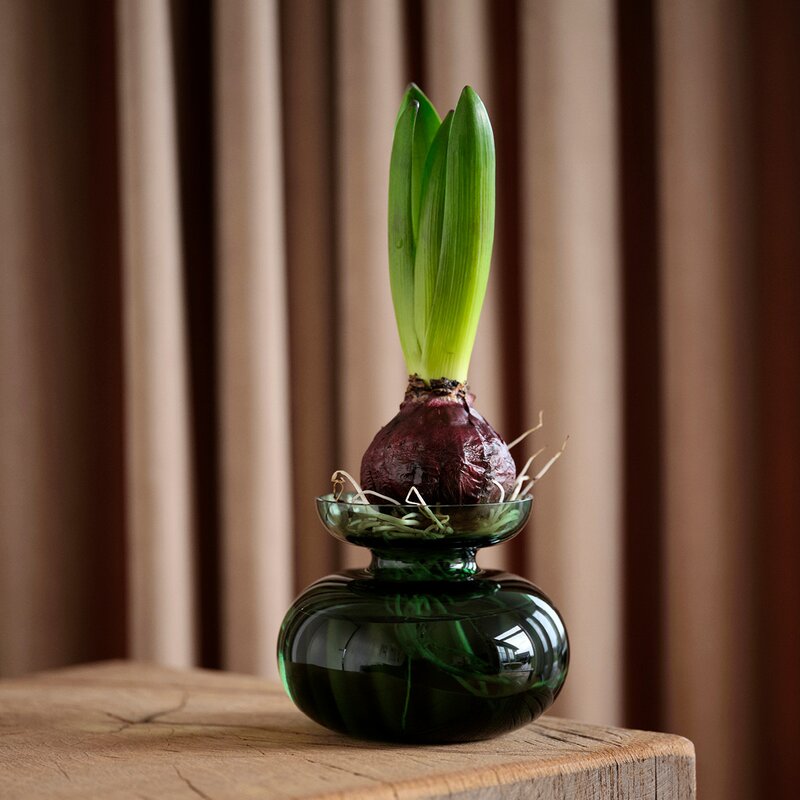 Inu svibelvase 11x9 cm moss green