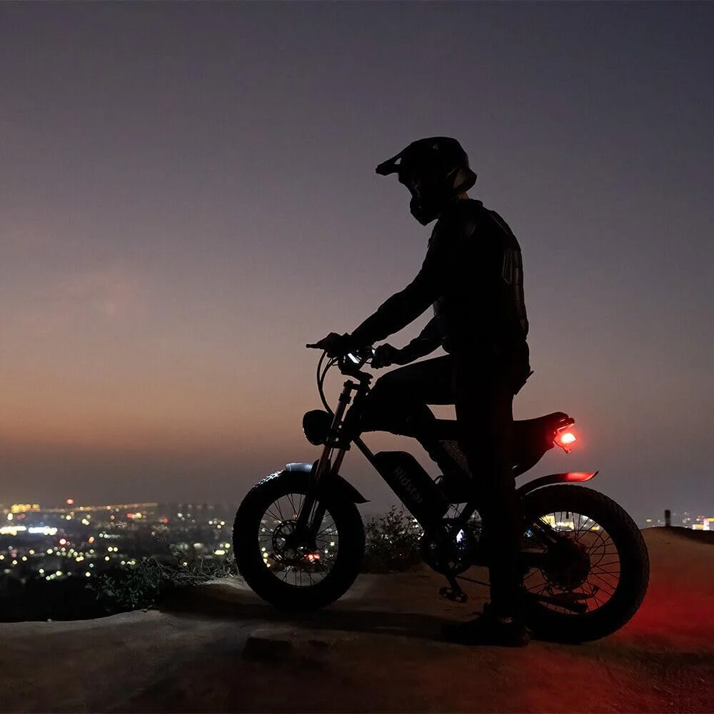 Electric Bike for Adults,Peak 1500W 30MPH,48V 15.6Ah Electric Bicycle,Full Suspension Mountain Bike UL2849(20inch-1000W-48V 15.6AH) - Image 8