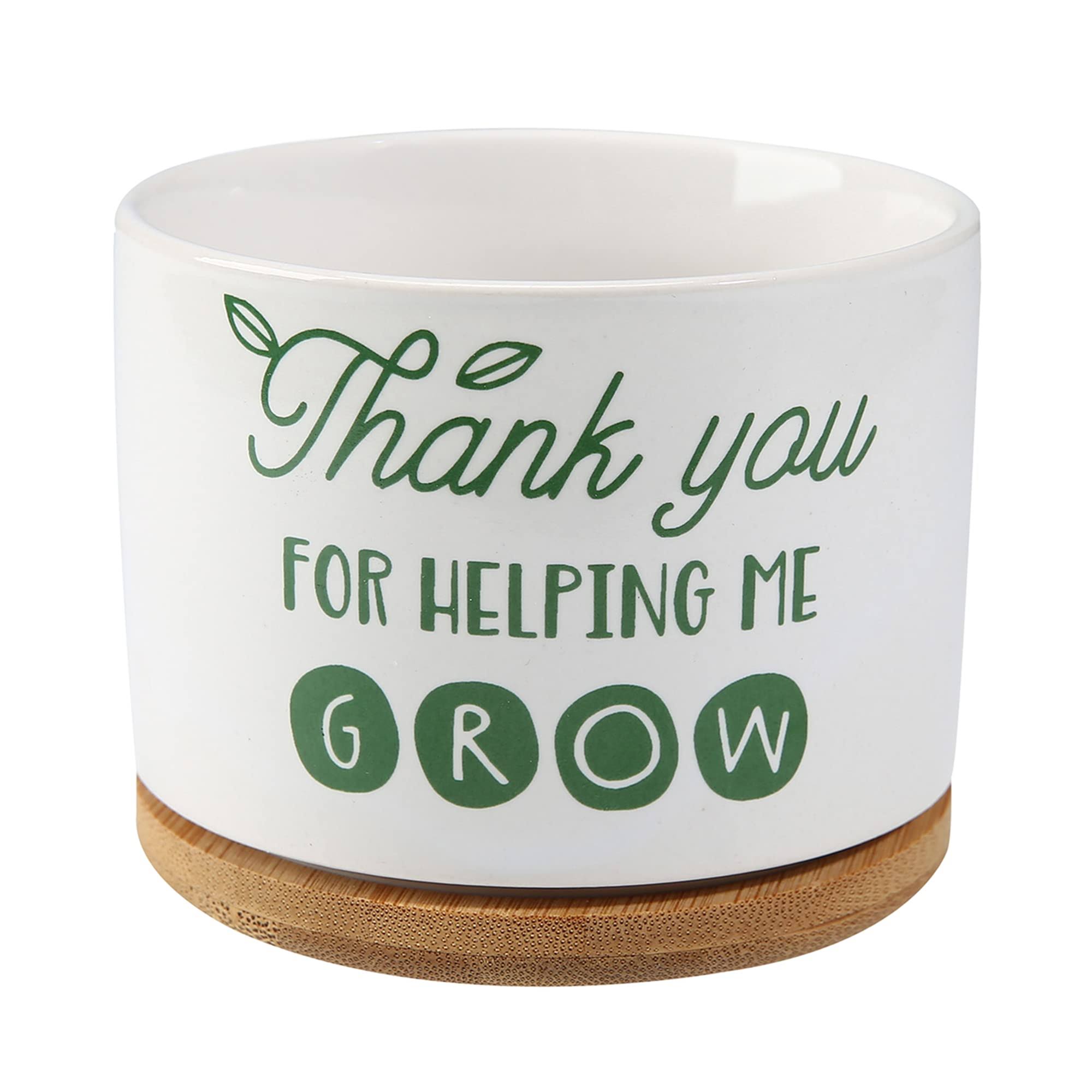 DOMG Teachers Appreciation Gift, Ceramic Succulent Plant Pot Small Flower Planter, Thank You for Helping Me Grow
