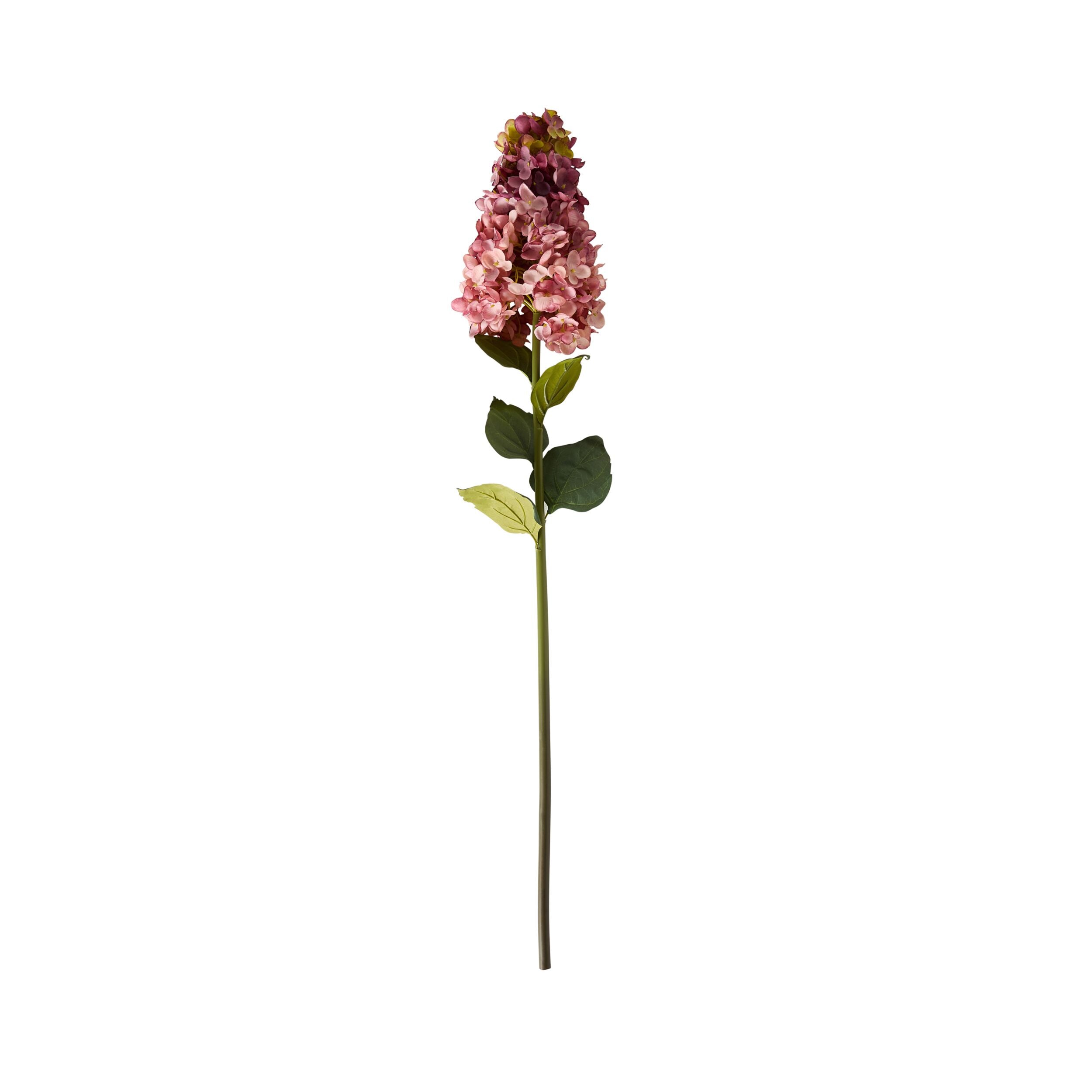 Bloomery Panicle Hydrangea Stem Mauve 95cm