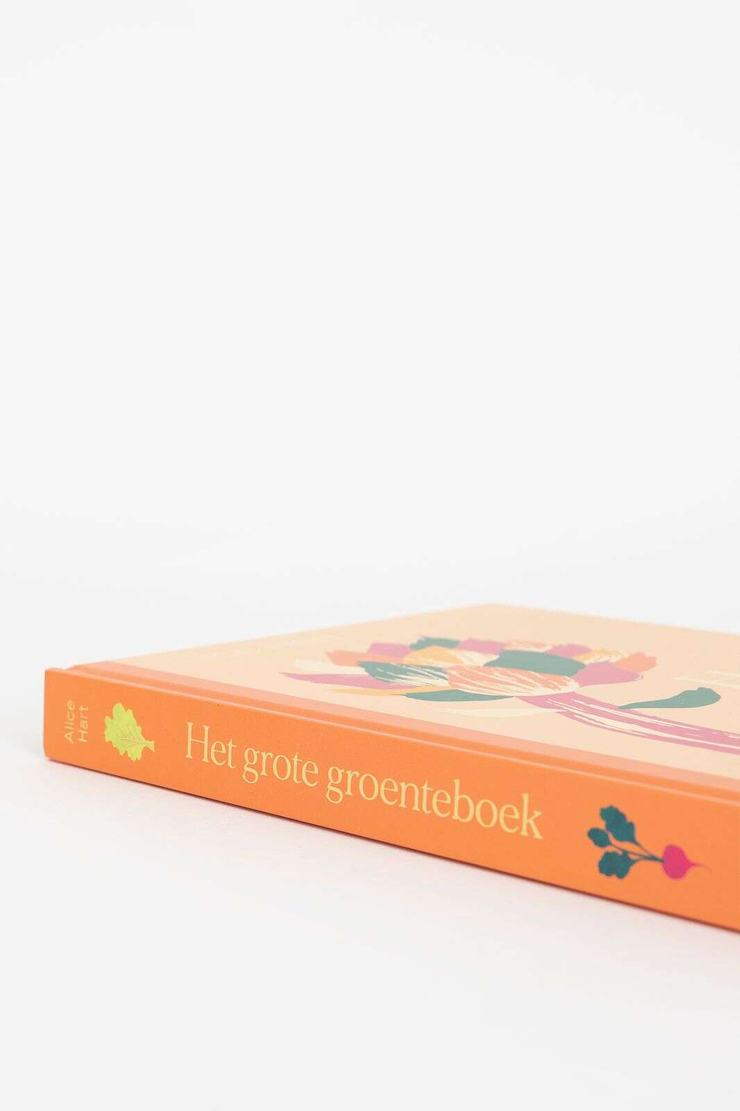 Boek Het grote groenteboek