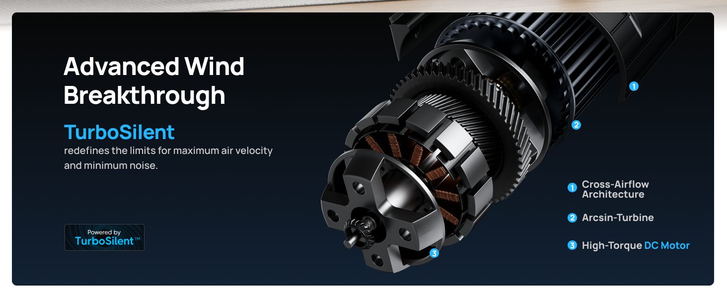 DC Motor