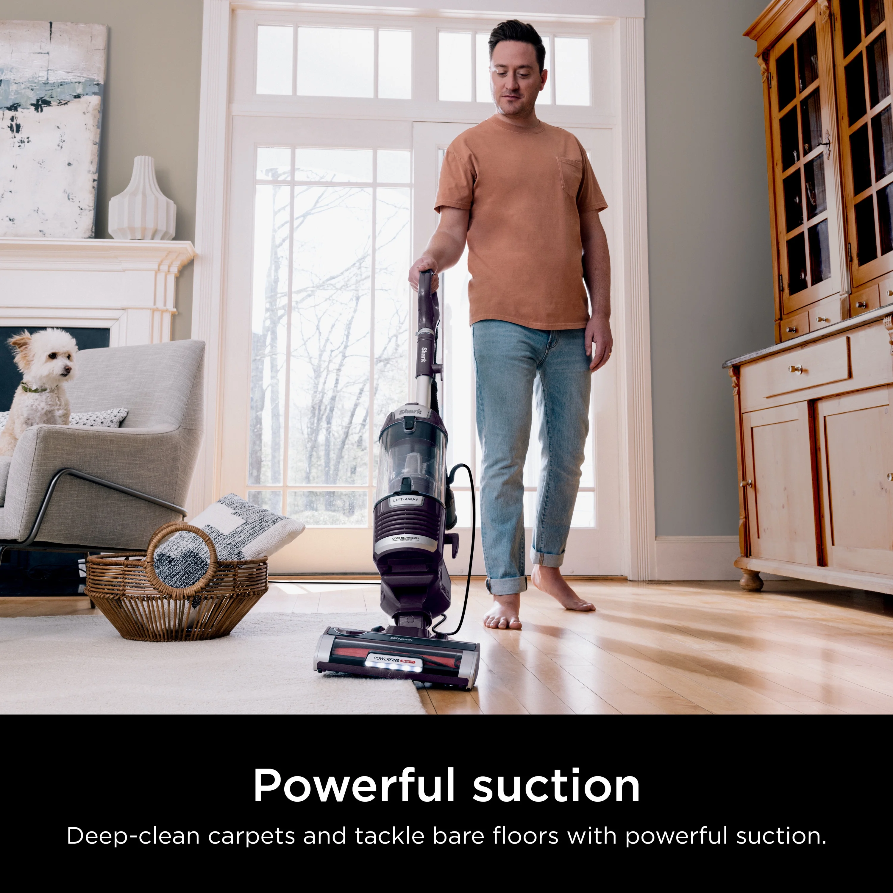 Shark Upright Vacuum, Lift - Away, Pet Friendly, Bagless, Powerfins Hairpro & Odor Neutralizer Technology, Hard Floor and Carpet, Self Cleaning Brushroll, Anti Allergen &Swivel Steering, ZD550, Purple