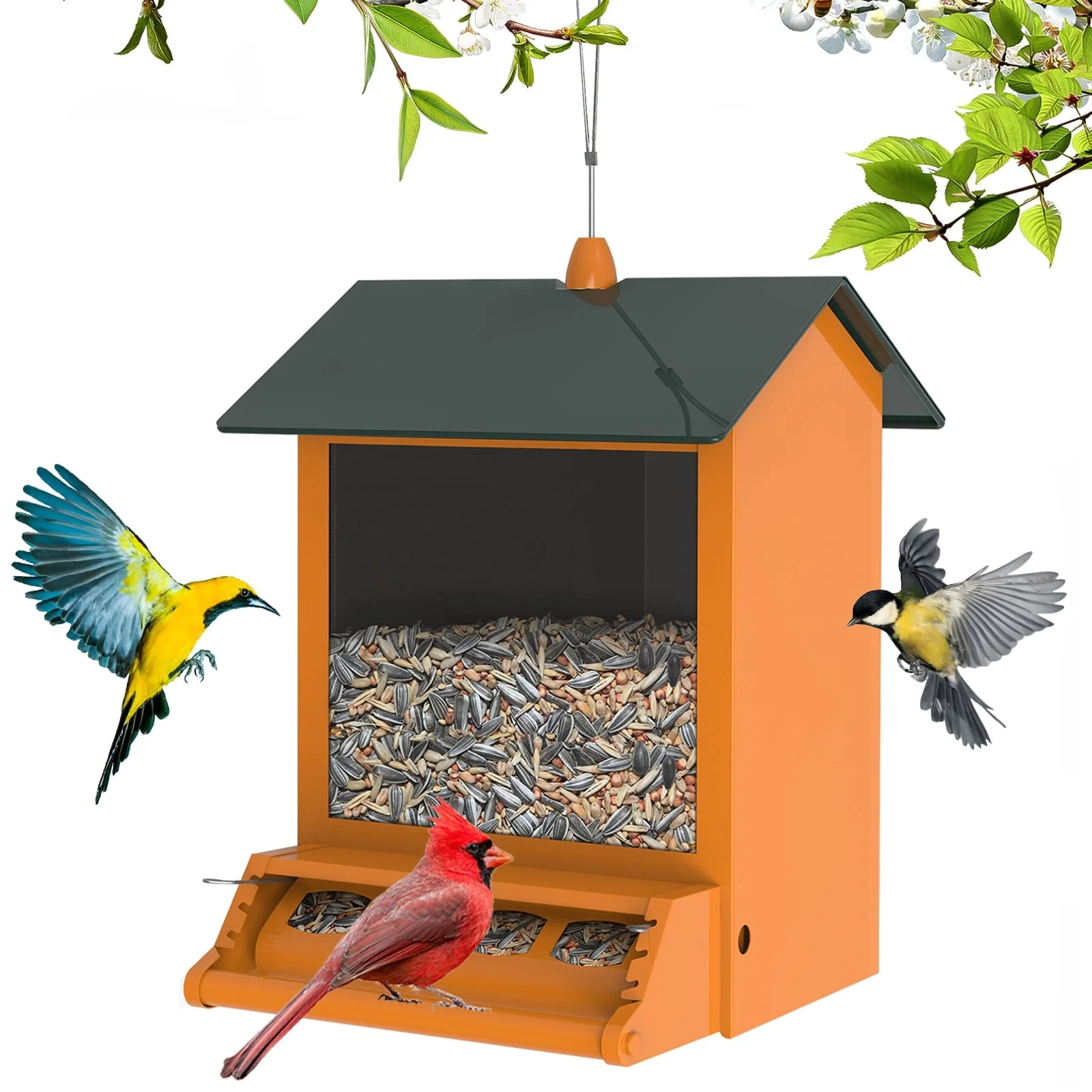 Digipettor 6 lb Squirrel - Proof Outdoor Wild Bird Feeder with Weight - Activated Perches, 4 Feeding Ports for Garden Yard Outside Decoration