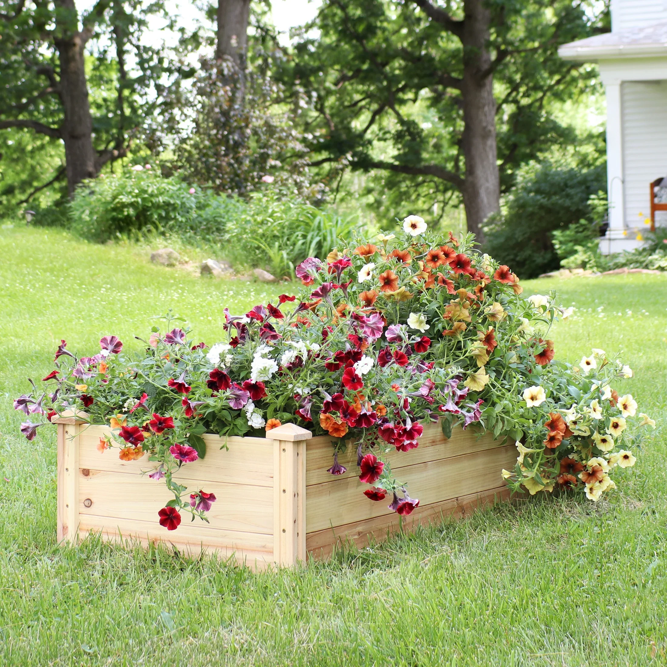 Sunnydaze 24 x 48.25 x 12.25 Rectangular Natural Wooden Outdoor Raised Garden Bed